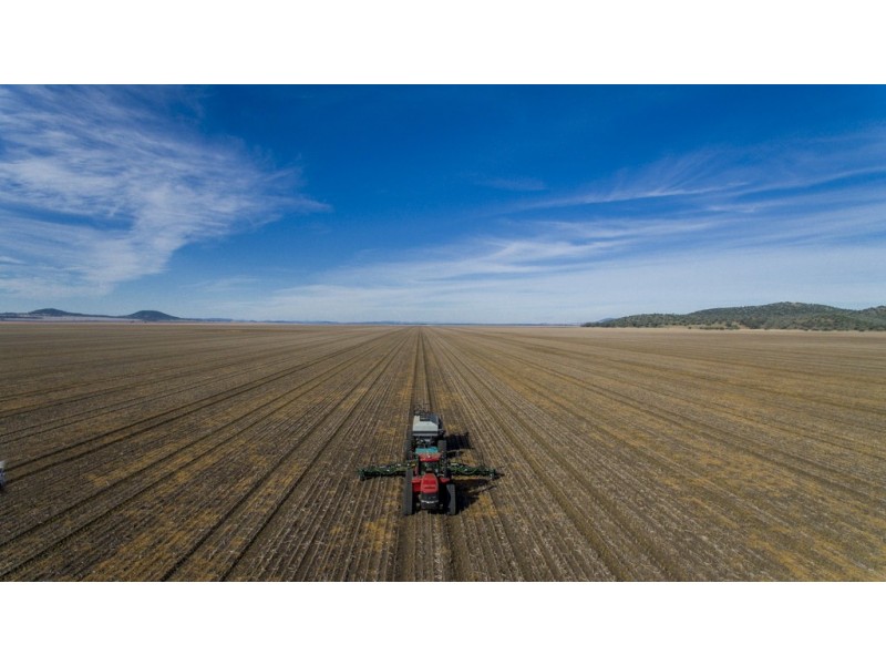 ‘COLADDI’ 155 STRANG ROAD, Tambar Springs NSW 2381