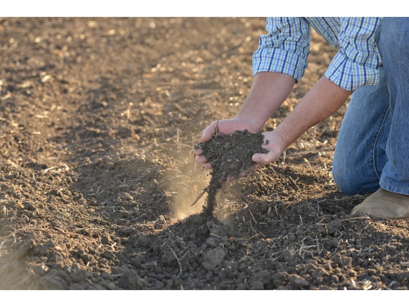 ‘COLADDI’ 155 STRANG ROAD, Tambar Springs NSW 2381