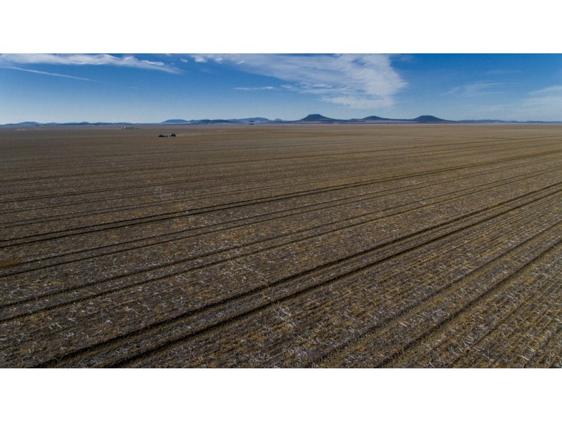 ‘COLADDI’ 155 STRANG ROAD, Tambar Springs NSW 2381