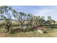 ‘COLADDI’ 155 STRANG ROAD, Tambar Springs NSW 2381
