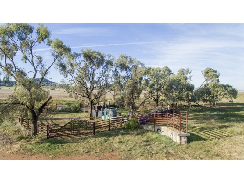 ‘COLADDI’ 155 STRANG ROAD, Tambar Springs NSW 2381