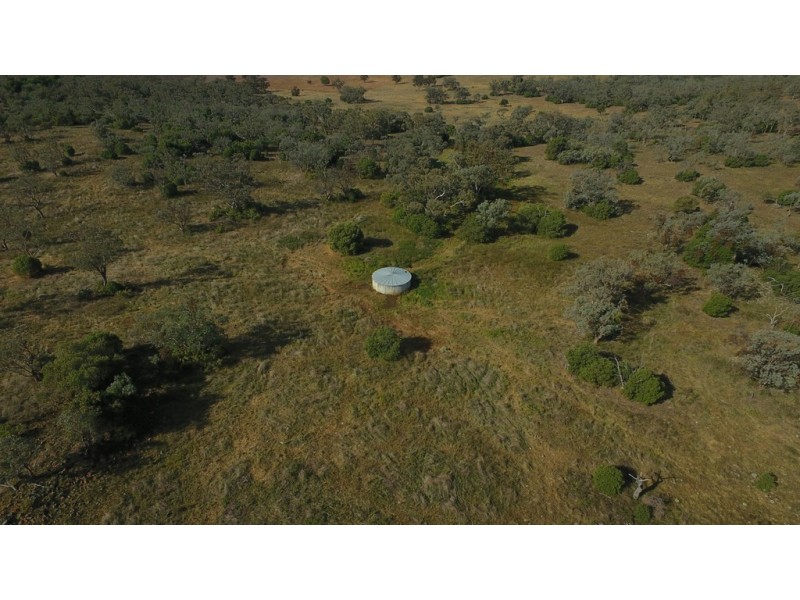 ‘COLADDI’ 155 STRANG ROAD, Tambar Springs NSW 2381