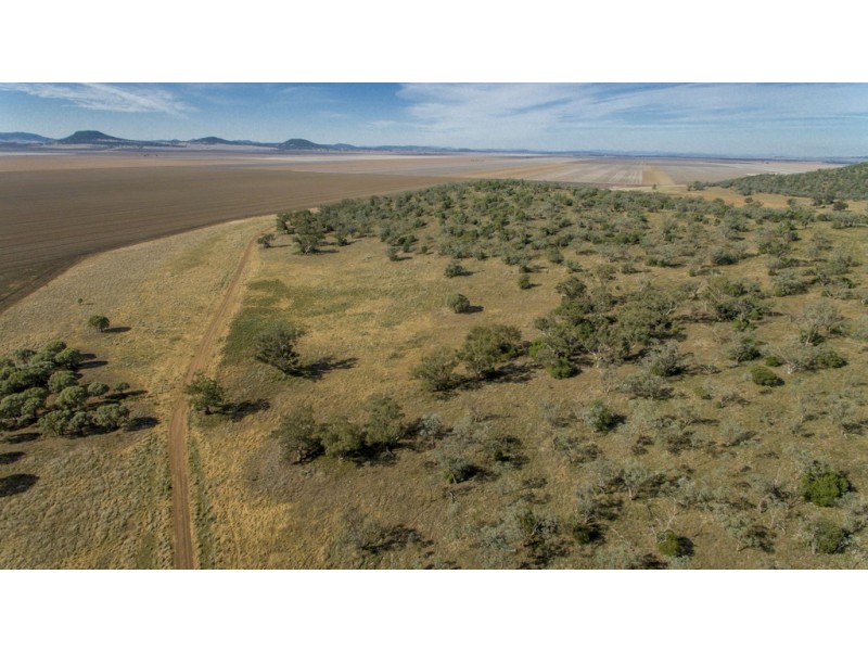 ‘COLADDI’ 155 STRANG ROAD, Tambar Springs NSW 2381