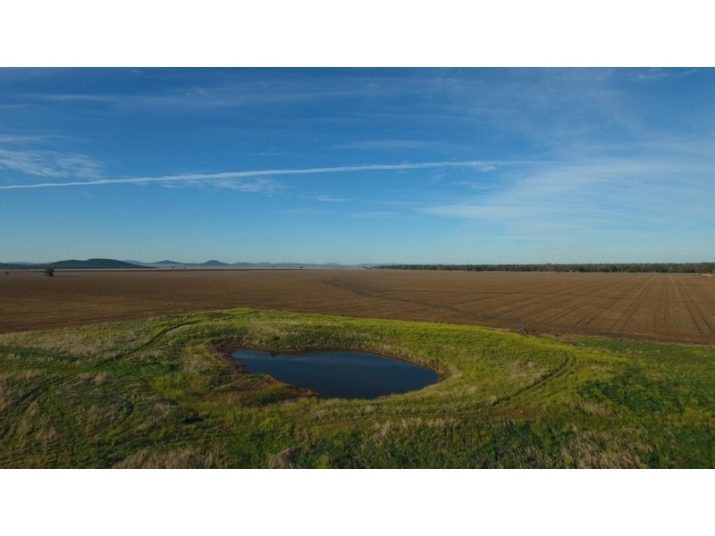 ‘COLADDI’ 155 STRANG ROAD, Tambar Springs NSW 2381