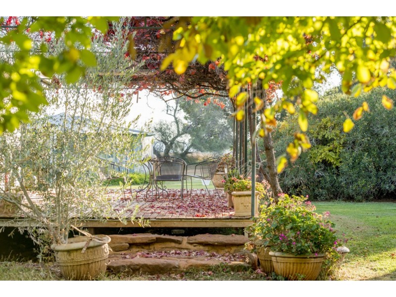 ‘COLADDI’ 155 STRANG ROAD, Tambar Springs NSW 2381