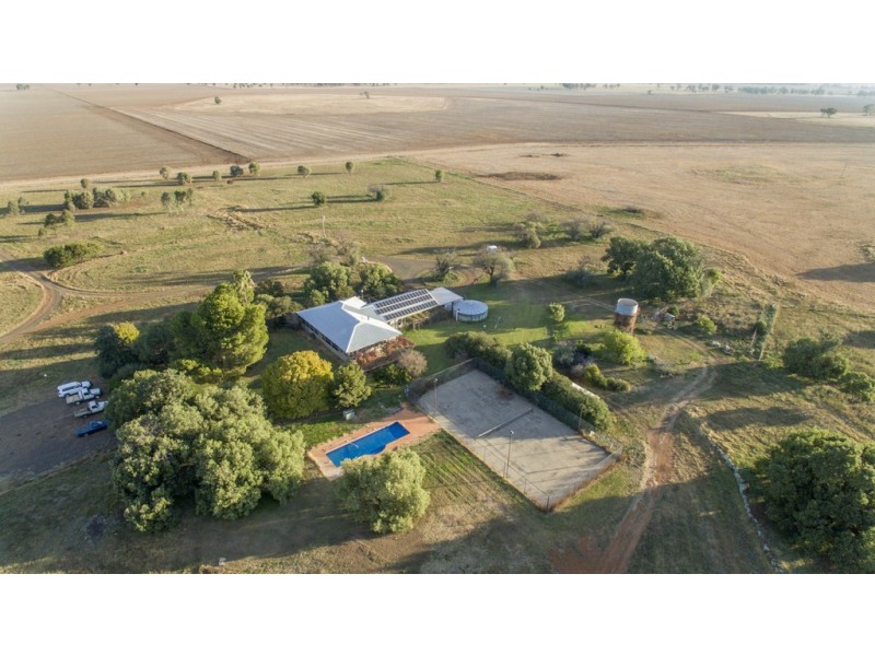 ‘COLADDI’ 155 STRANG ROAD, Tambar Springs NSW 2381