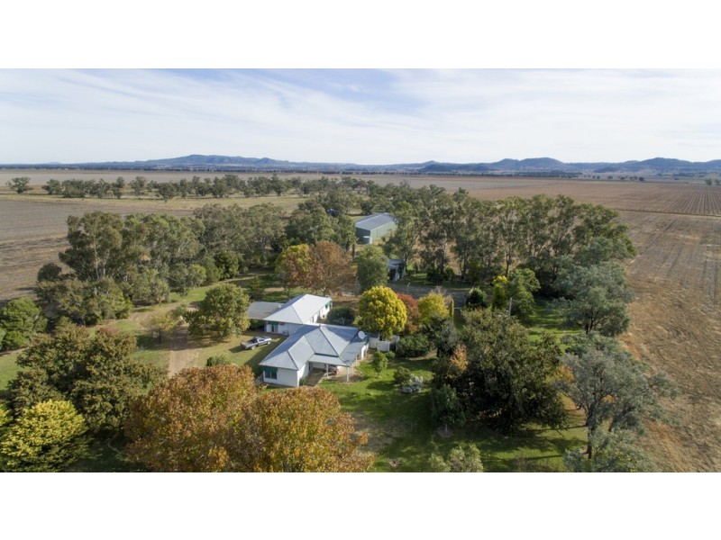 ‘COLADDI’ 155 STRANG ROAD, Tambar Springs NSW 2381