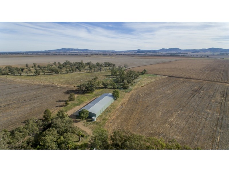 ‘COLADDI’ 155 STRANG ROAD, Tambar Springs NSW 2381