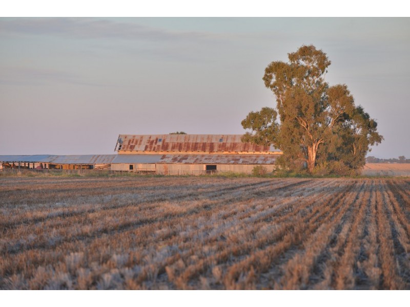 ‘COLADDI’ 155 STRANG ROAD, Tambar Springs NSW 2381