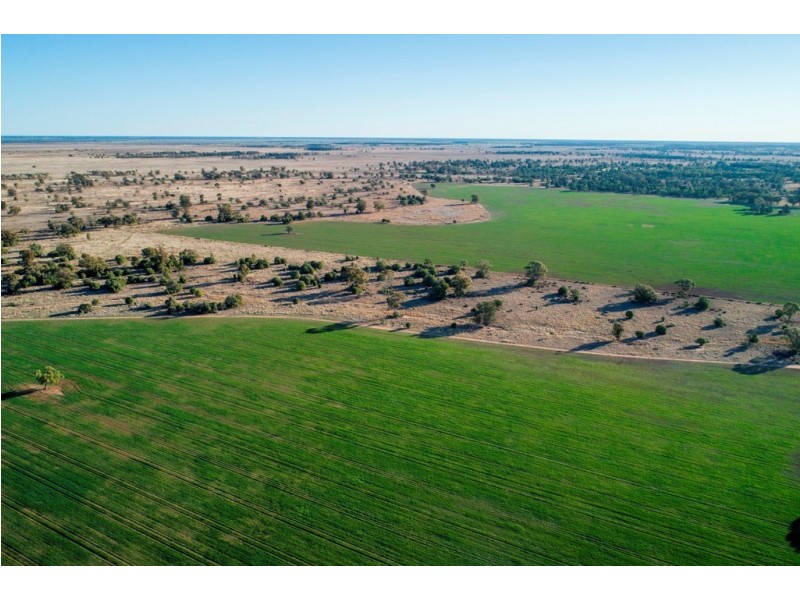 ‘ NEBEA STATION’, Coonamble NSW 2829