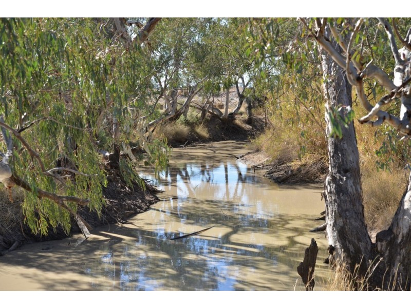 ‘ NEBEA STATION’, Coonamble NSW 2829
