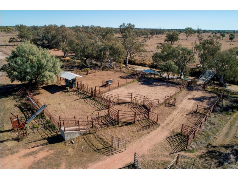 ‘ NEBEA STATION’, Coonamble NSW 2829
