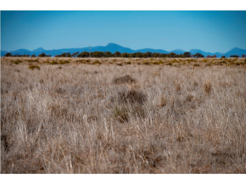‘ NEBEA STATION’, Coonamble NSW 2829