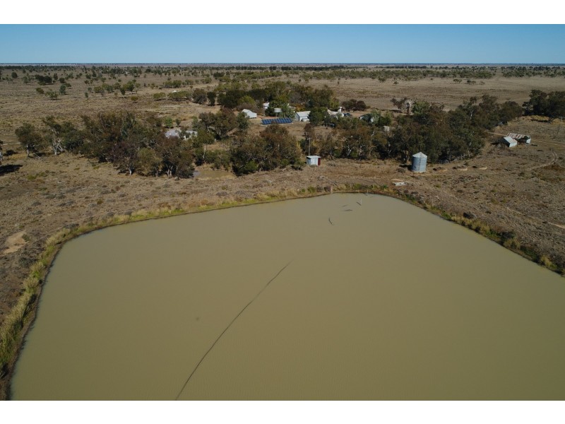 ‘ NEBEA STATION’, Coonamble NSW 2829