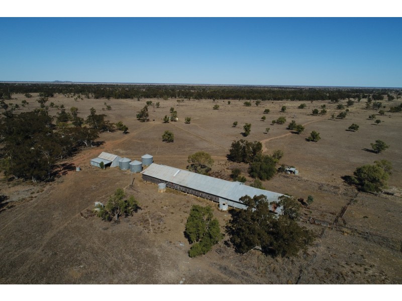 ‘ NEBEA STATION’, Coonamble NSW 2829