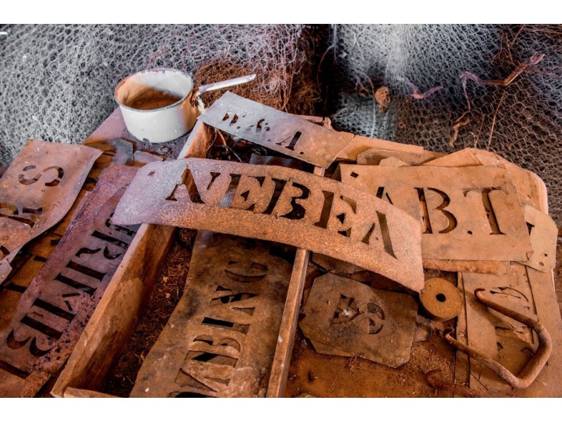 ‘ NEBEA STATION’, Coonamble NSW 2829