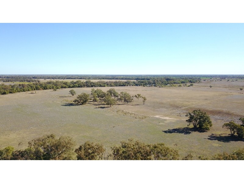 ‘ QUONMOONA’, Coonamble NSW 2829
