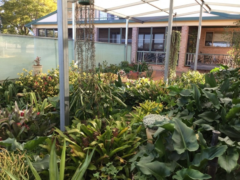 ‘ QUONMOONA’, Coonamble NSW 2829