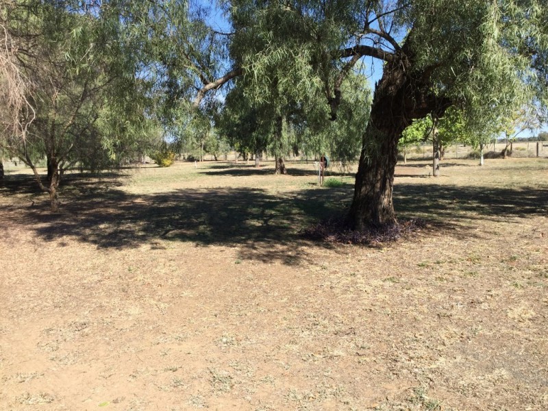 ‘ QUONMOONA’, Coonamble NSW 2829