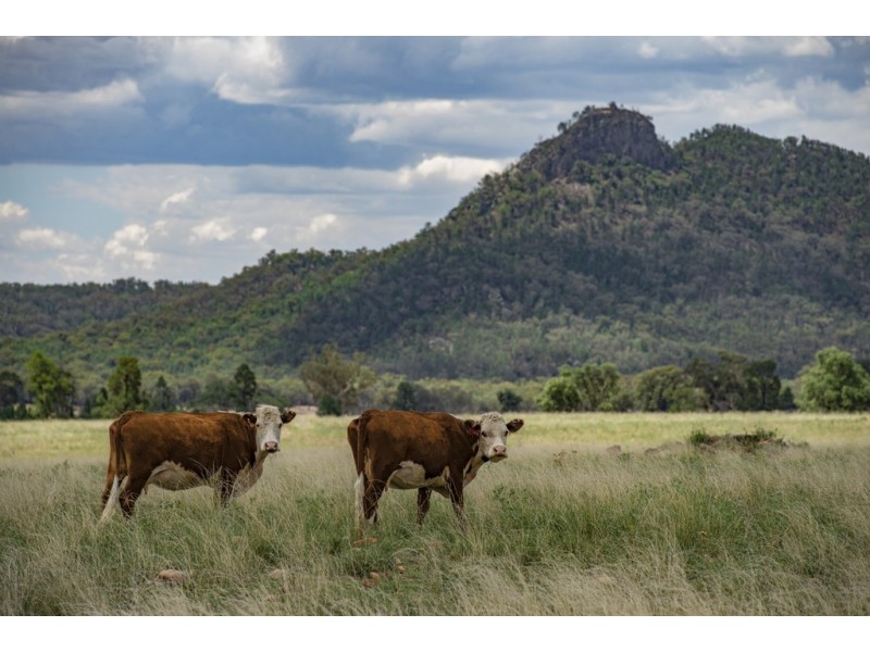 ‘ CARLTON’, Coonabarabran NSW 2357