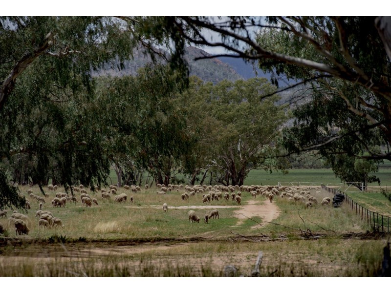 ‘ CARLTON’, Coonabarabran NSW 2357