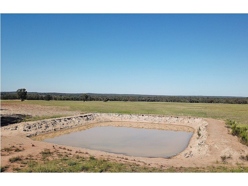 ‘ WALLINGA’, Coonabarabran NSW 2357