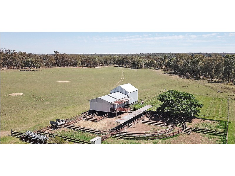 ‘ WALLINGA’, Coonabarabran NSW 2357