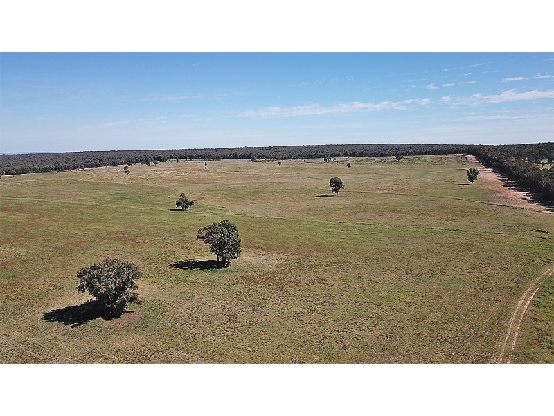 ‘ WALLINGA’, Coonabarabran NSW 2357