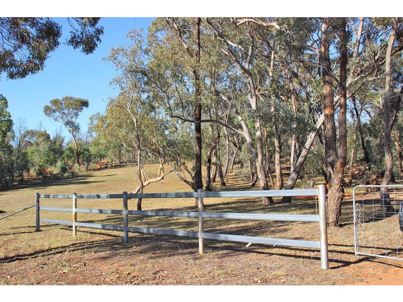221 TIBUC ROAD, Coonabarabran NSW 2357