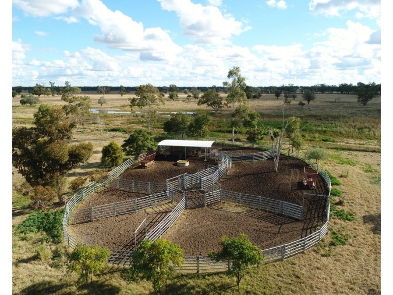 ‘ THURN’, Coonamble NSW 2829