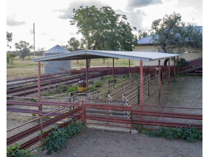 ‘ THURN’, Coonamble NSW 2829