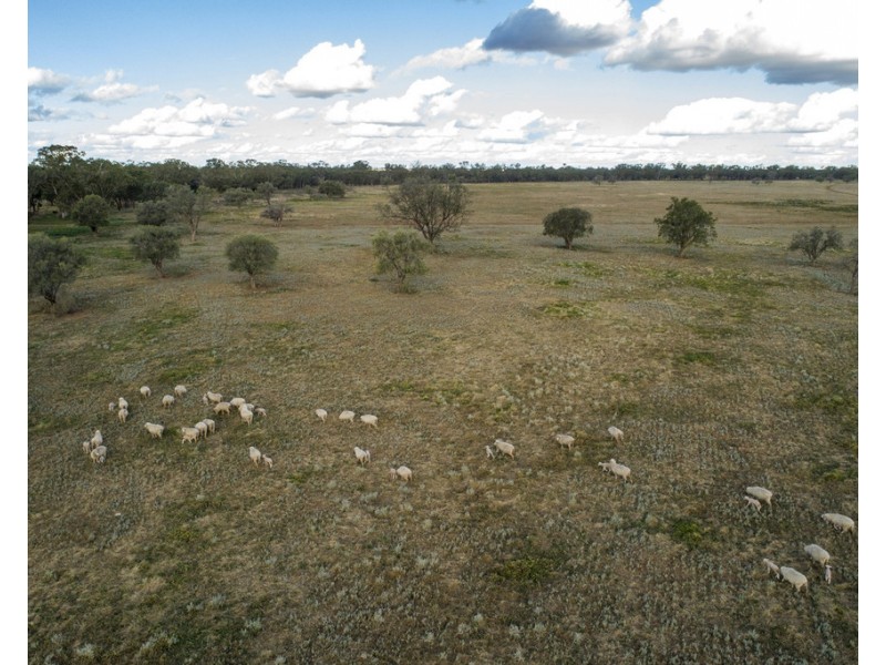 ‘ THURN’, Coonamble NSW 2829
