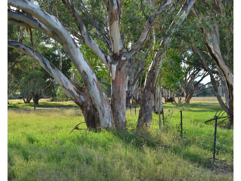 ‘ THURN’, Coonamble NSW 2829