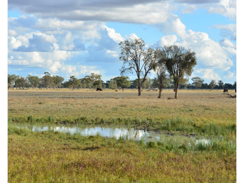 ‘ THURN’, Coonamble NSW 2829
