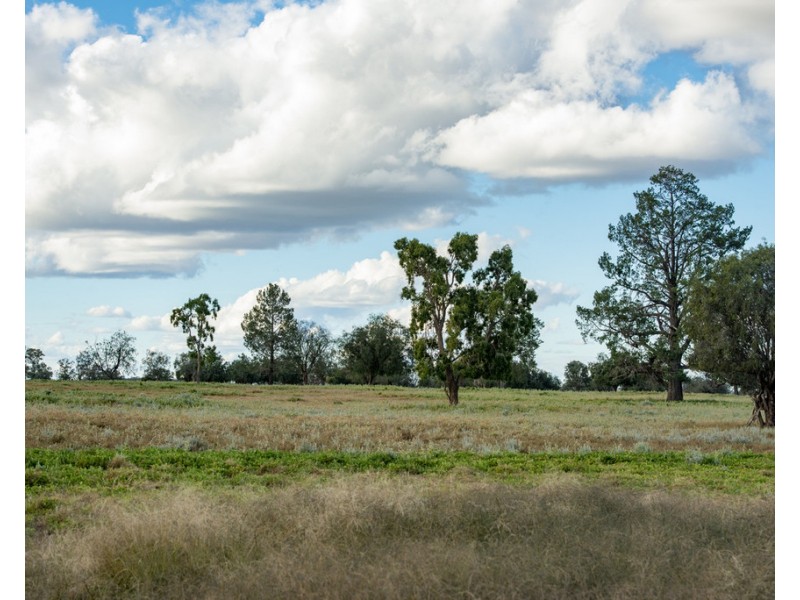 ‘ THURN’, Coonamble NSW 2829