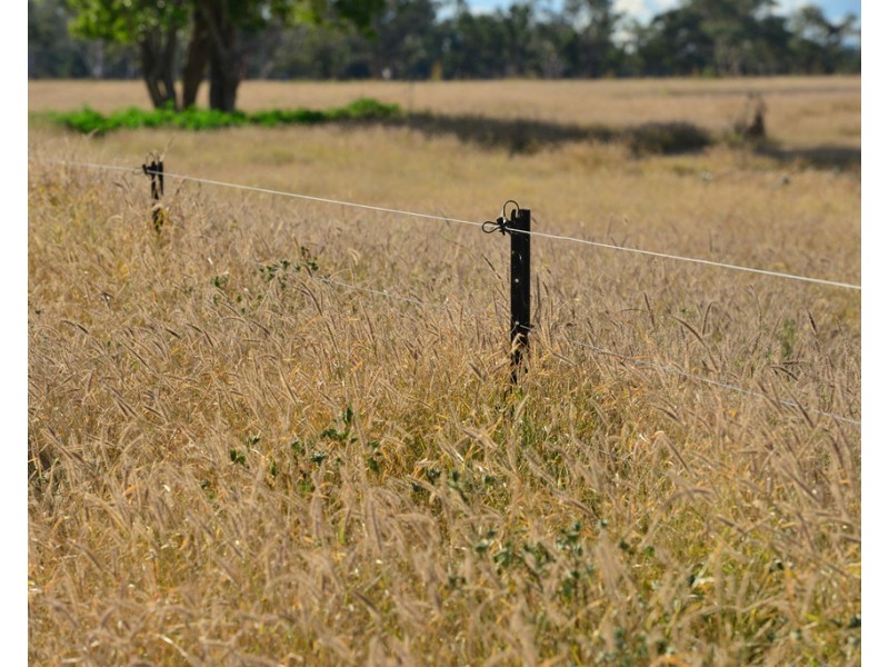 ‘ THURN’, Coonamble NSW 2829