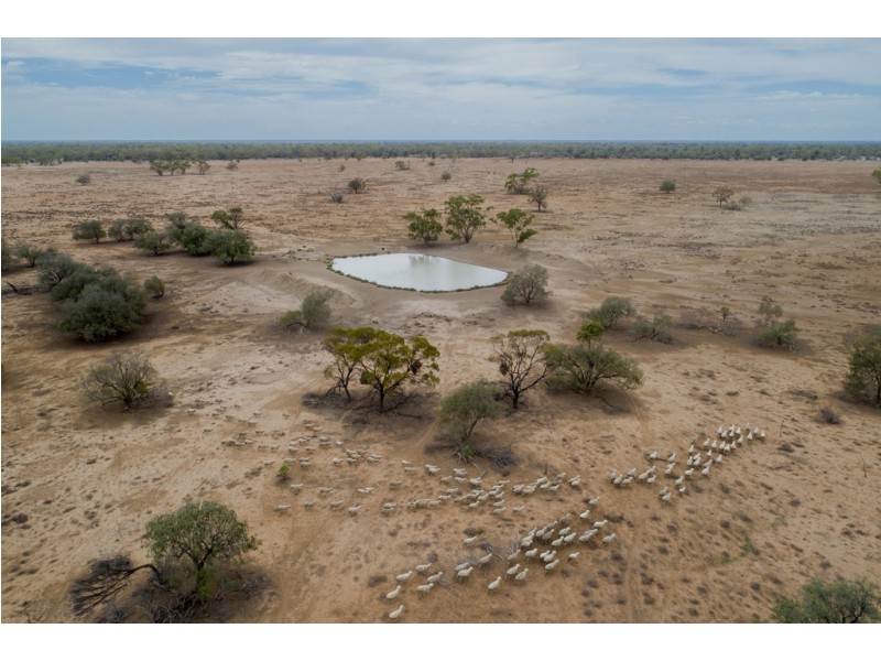 11677 Quilbone Merri Merri Road, Quambone NSW 2831