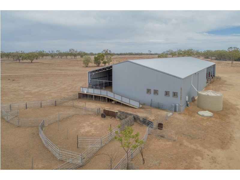 11677 Quilbone Merri Merri Road, Quambone NSW 2831