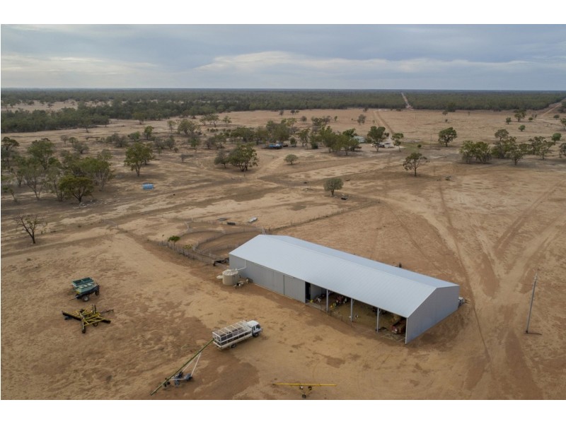 11677 Quilbone Merri Merri Road, Quambone NSW 2831