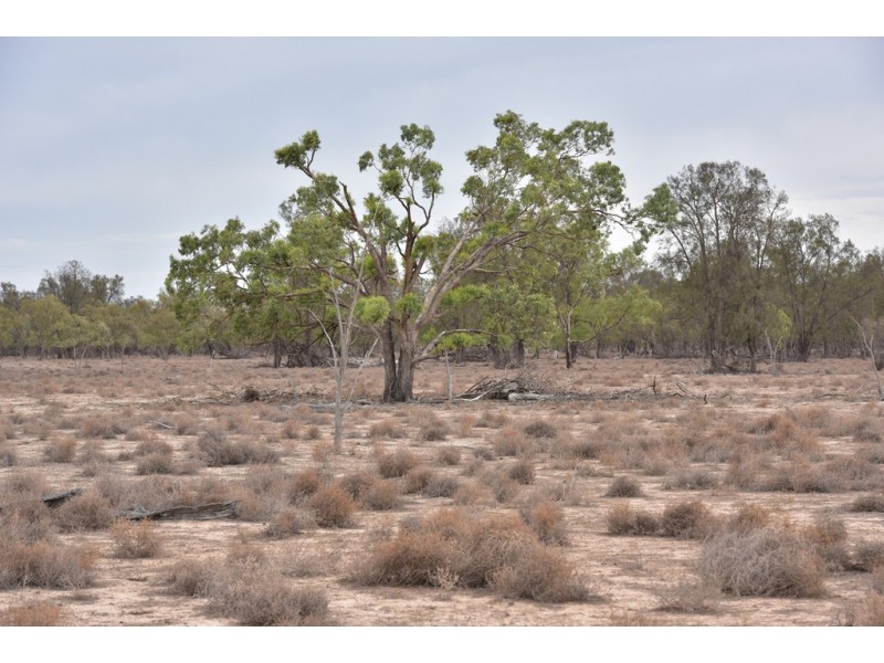 11677 Quilbone Merri Merri Road, Quambone NSW 2831