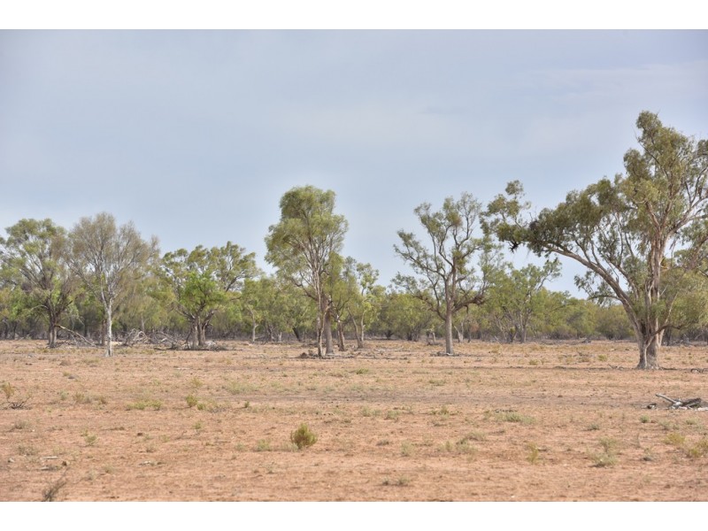 11677 Quilbone Merri Merri Road, Quambone NSW 2831