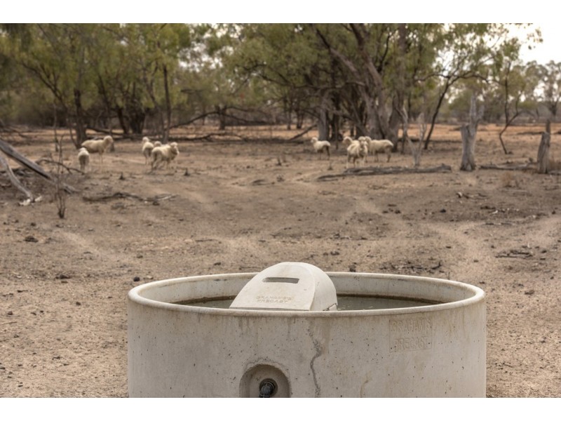 11677 Quilbone Merri Merri Road, Quambone NSW 2831