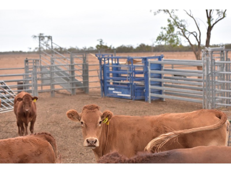 11677 Quilbone Merri Merri Road, Quambone NSW 2831