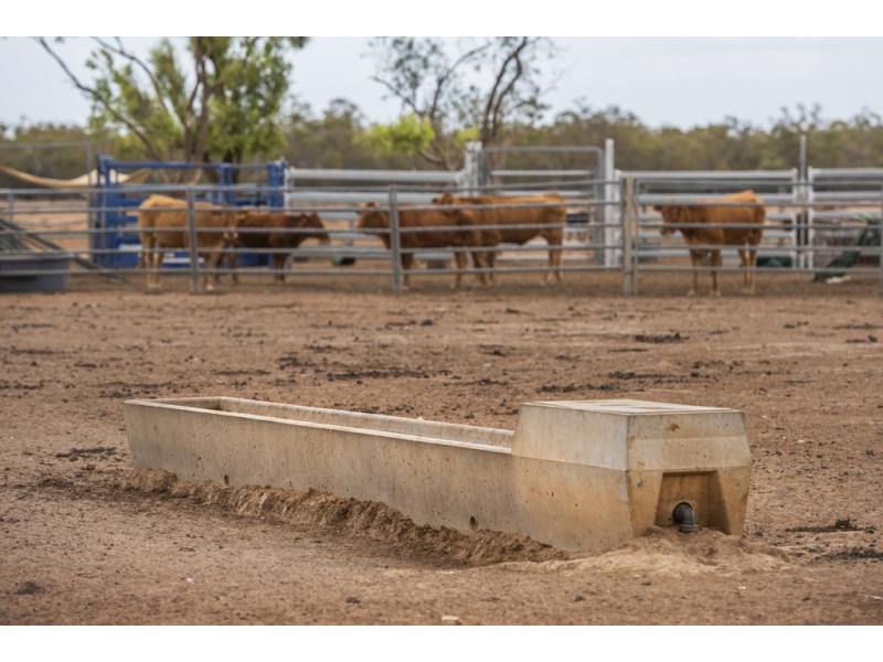 11677 Quilbone Merri Merri Road, Quambone NSW 2831