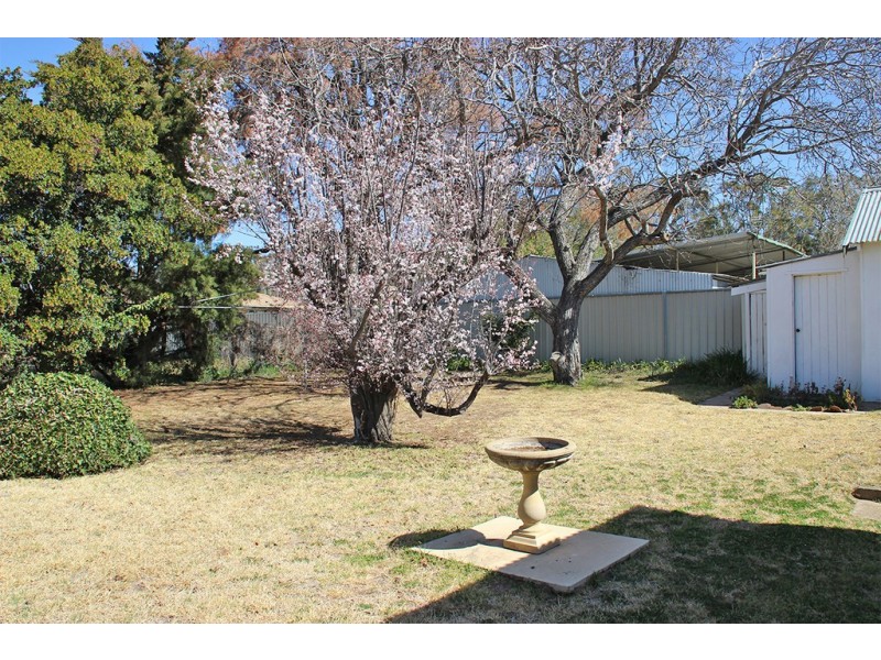 6 CASSILIS STREET, Coonabarabran NSW 2357