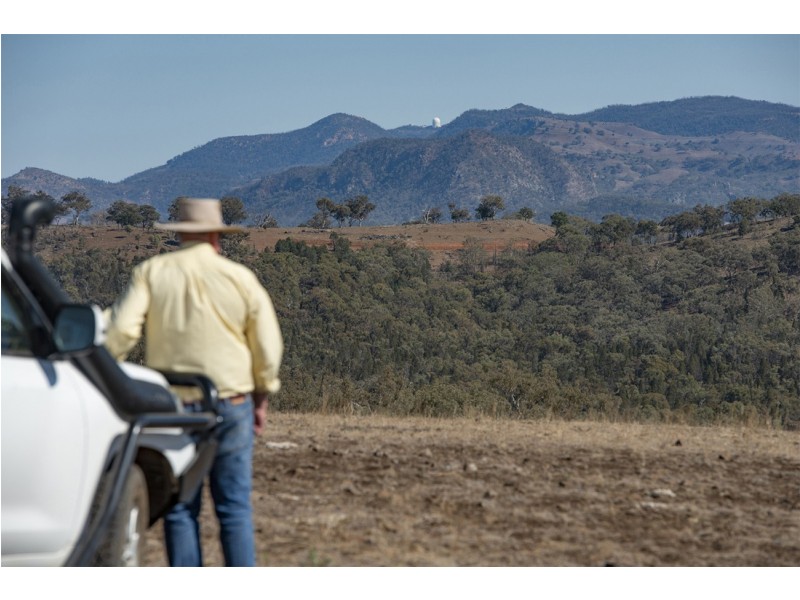 7567 KIRRAWA  NEWELL HIGHWAY, Coonabarabran NSW 2357