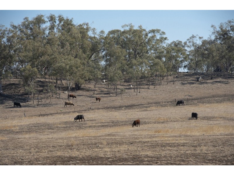 7567 KIRRAWA  NEWELL HIGHWAY, Coonabarabran NSW 2357