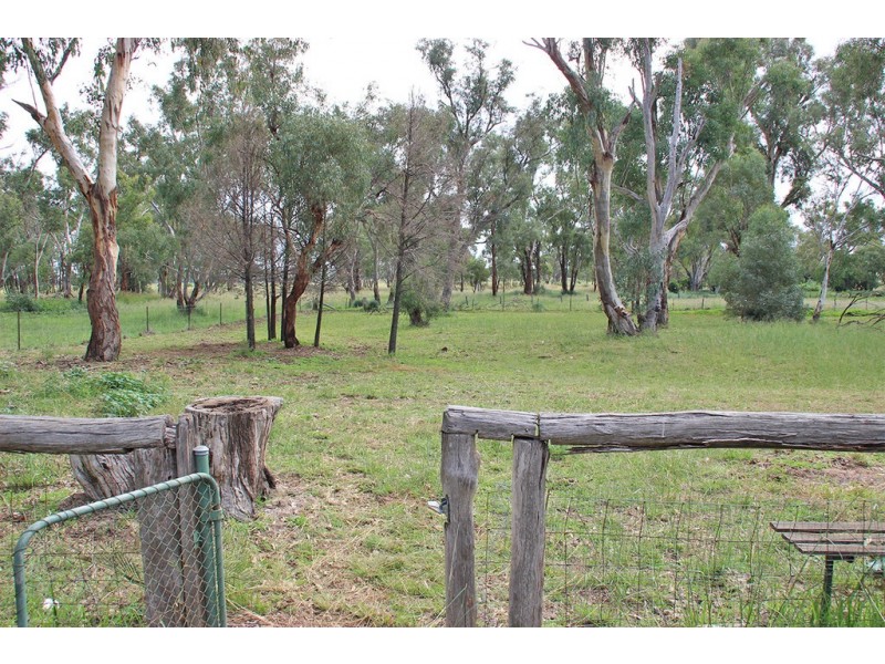 2401 PURLEWAUGH ROAD, Purlewaugh NSW 2357