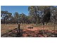 312 QUAKER TOMMY ROAD, Coonabarabran NSW 2357