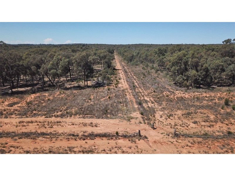 312 QUAKER TOMMY ROAD, Coonabarabran NSW 2357